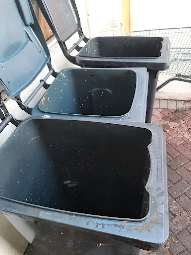 Wheelie bins ready for waste collection